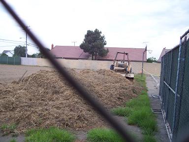 Grass gone