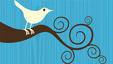 Twitter Bird and twig